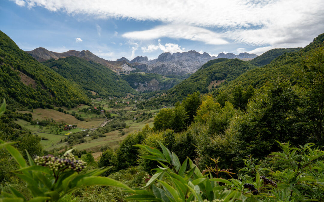 ACT Albania i Czarnogóra 2025 – dzień 2