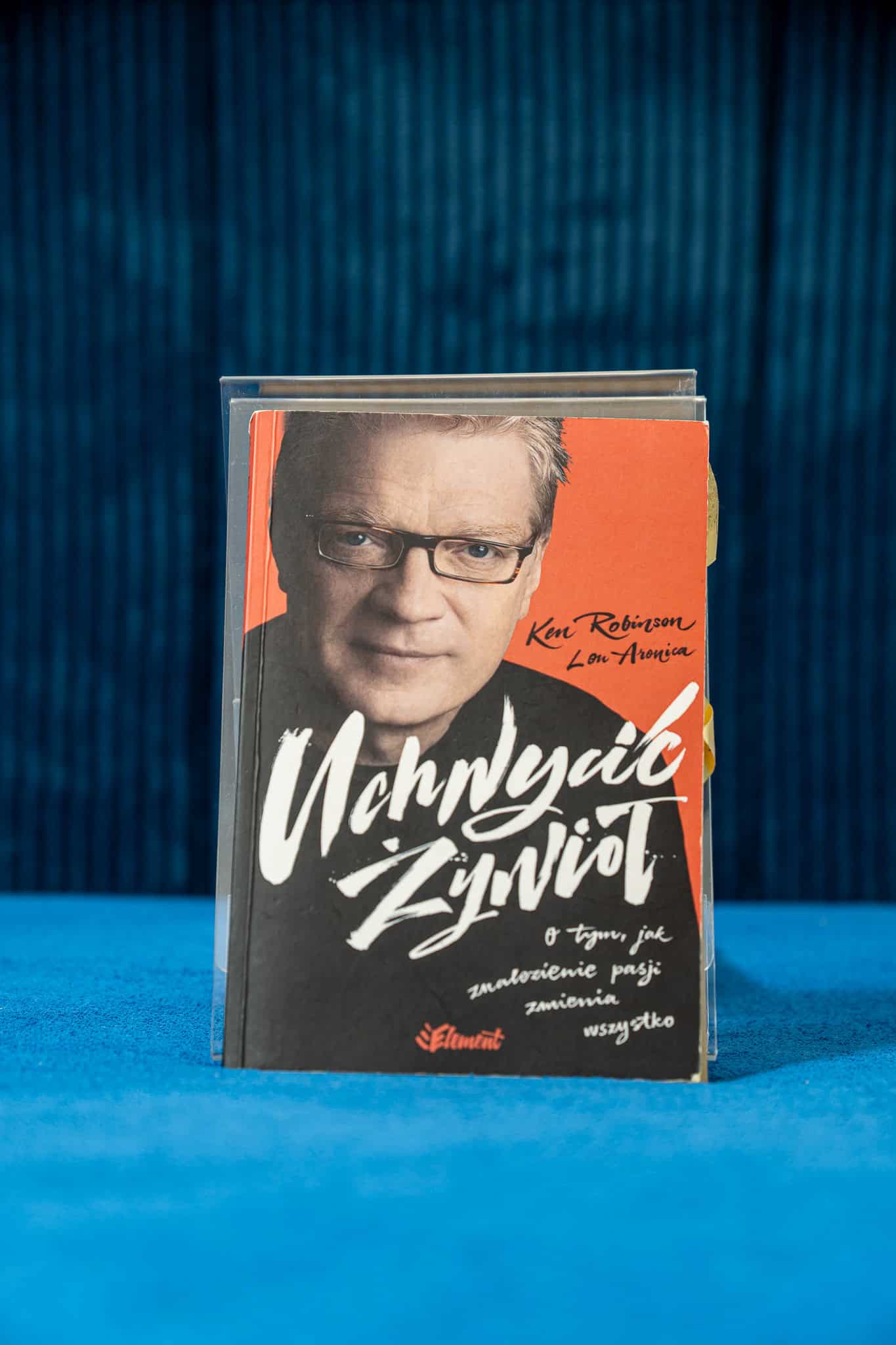 Uchwycić Żywioł