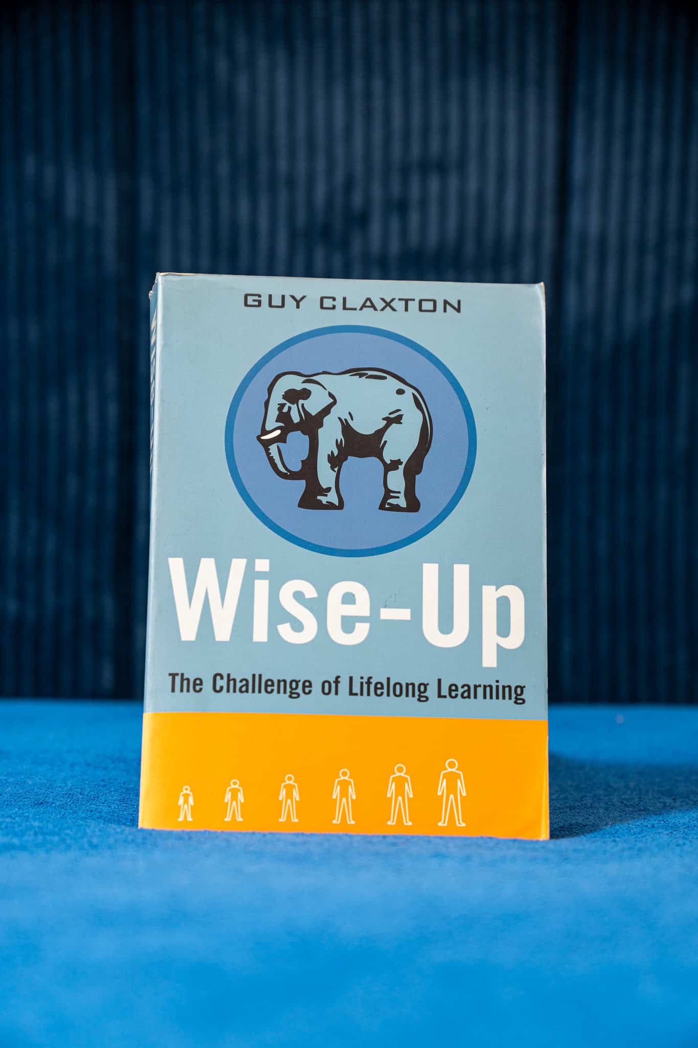 Wise-Up. The Challenge of Lifelong Learning